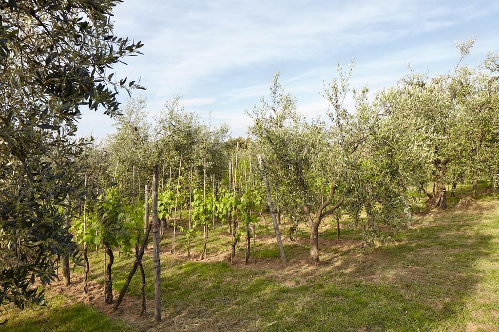 Podere La Casuccia Malmantile Cameră foto