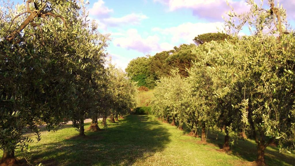 Podere La Casuccia Malmantile Cameră foto