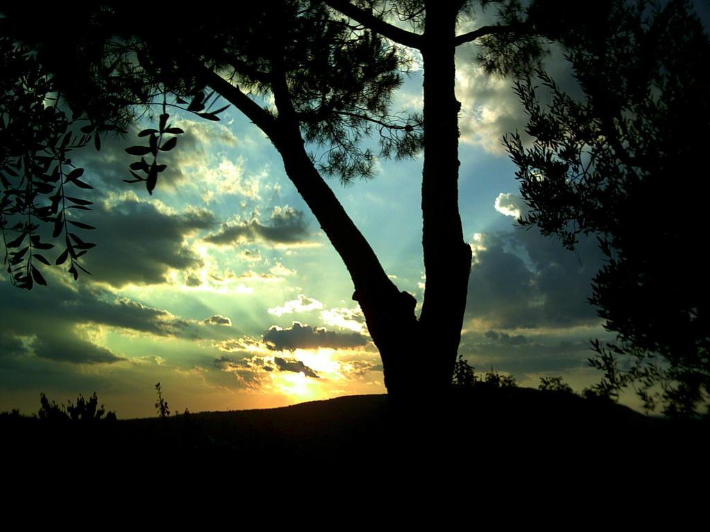 Podere La Casuccia Malmantile Cameră foto
