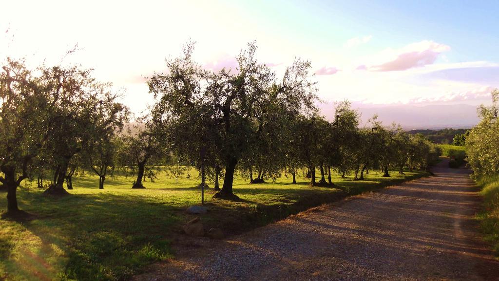 Podere La Casuccia Malmantile Cameră foto