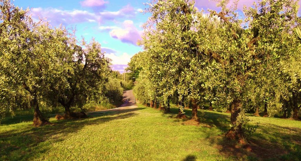 Podere La Casuccia Malmantile Cameră foto